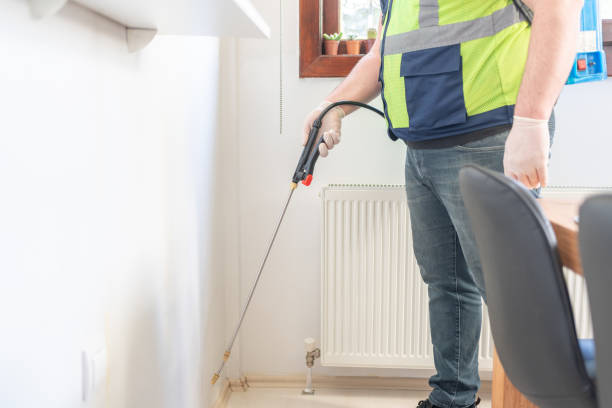 Best Rat Extermination Near Me  in California, PA