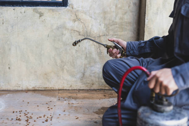 Best Emergency Pest Control  in California, PA