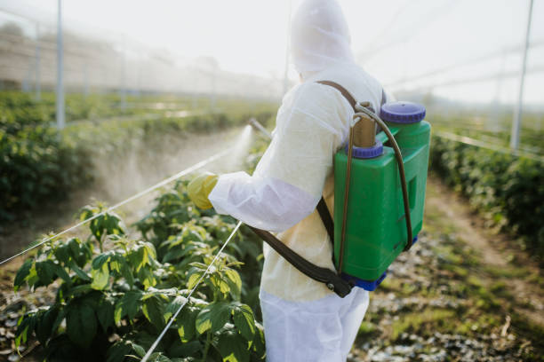 Best Pest Removal Services  in California, PA